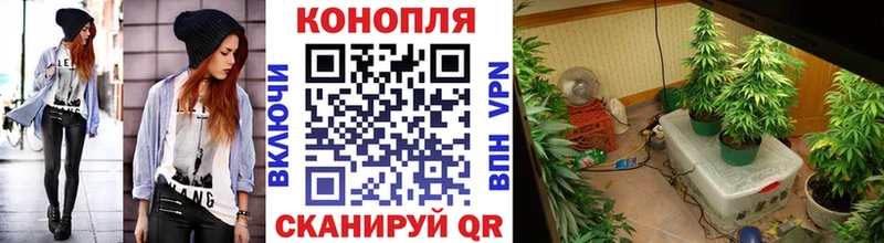 Магазины продажи наркотиков Баймак Конопля  APVP  Меф  Псилоцибиновые грибы  КОКАИН 
