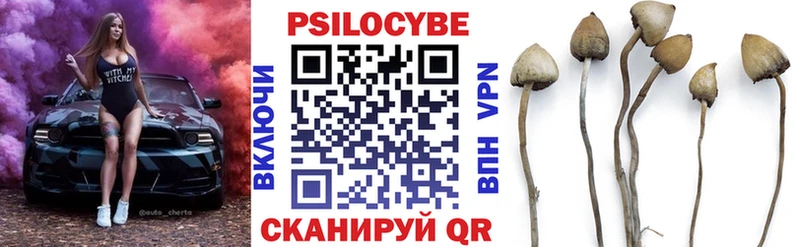 Псилоцибиновые грибы ЛСД  Баймак 